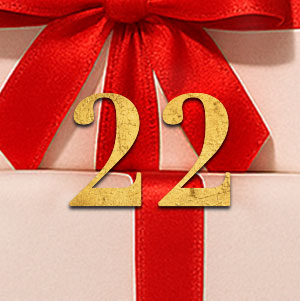 Türchen öffnen für Tag 22 | Online Adventskalender