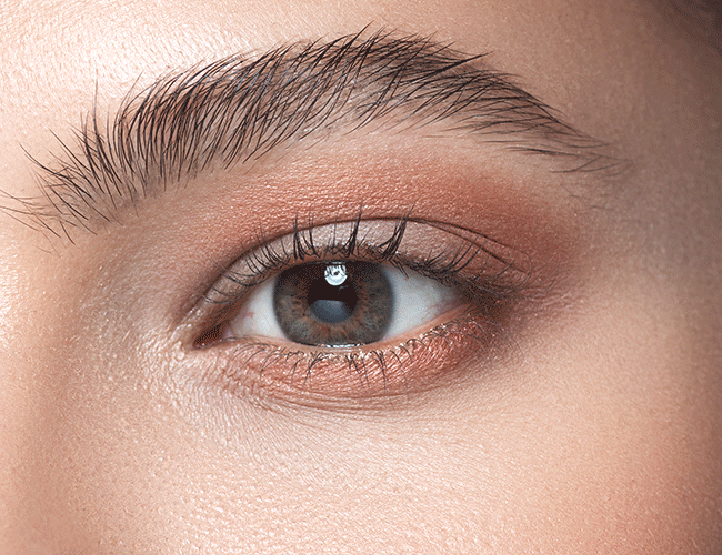 Ein heller Lidschatten wird auf dem beweglichen Lid aufgetragen mit einem fluffigen Pinsel