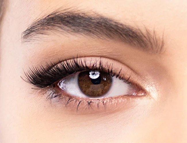 Das Endergebnis der Applikation der magnetischen Wimpern